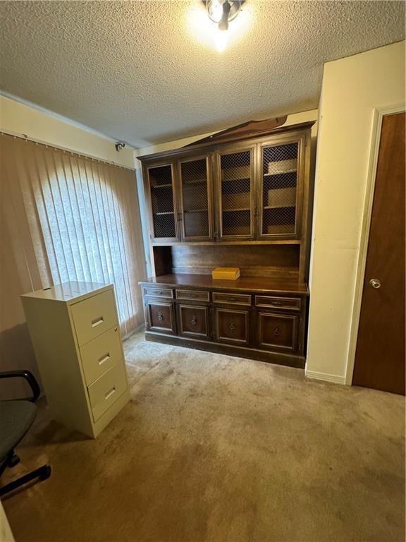 unfurnished office featuring light colored carpet and a textured ceiling