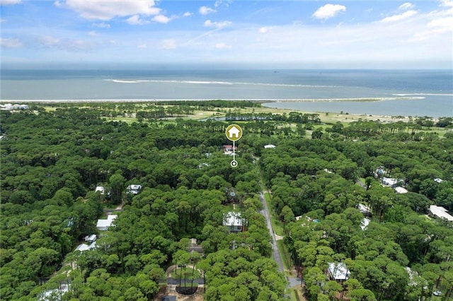 911 Lockenbie Pl, Dauphin Island, AL 36528 - aerial overview of property's location with a large body of water and a forest