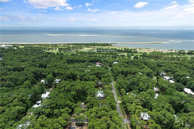 911 Lockenbie Pl, Dauphin Island, AL 36528 - aerial overview of property's location featuring a nearby body of water and a heavily wooded area