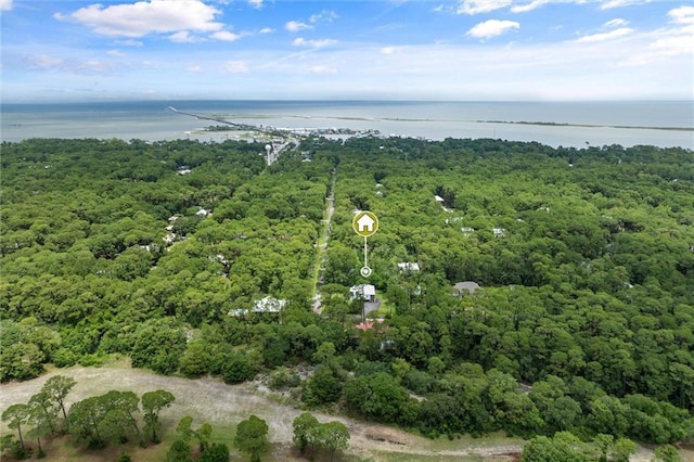 911 Lockenbie Pl, Dauphin Island, AL 36528 - view of property location featuring a nearby body of water