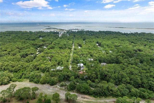 911 Lockenbie Pl, Dauphin Island, AL 36528 - aerial view of property's location featuring a large body of water and a heavily wooded area