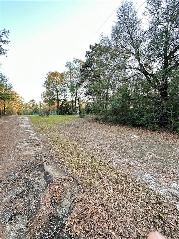 7425 Lake Haven Dr E, Semmes AL, 36575 land for sale