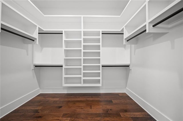 spacious closet featuring wood finished floors