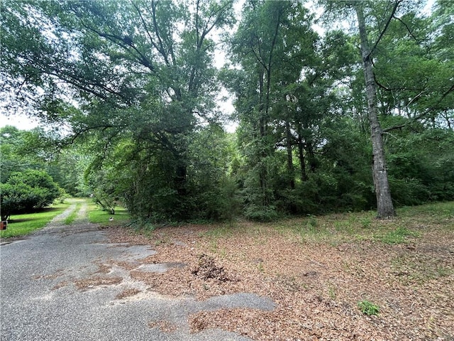 Listing photo 2 for 0 Summit Dr, Mobile AL 36618