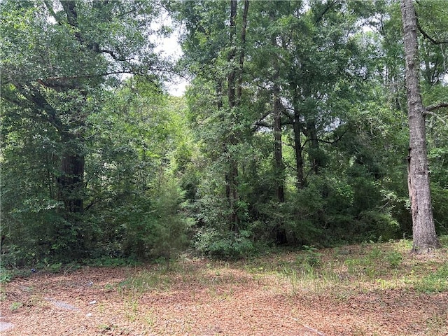 Listing photo 3 for 0 Summit Dr, Mobile AL 36618