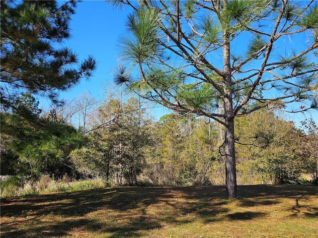 LOT9 Crystal Ct N, Mobile AL, 36695 land for sale