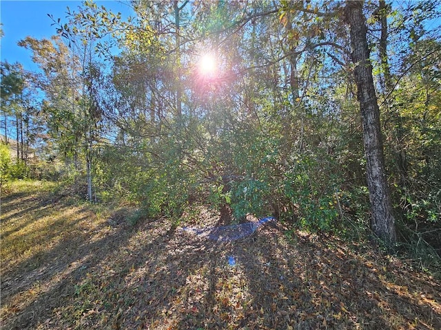 Listing photo 2 for LOT9 Crystal Ct N, Mobile AL 36695