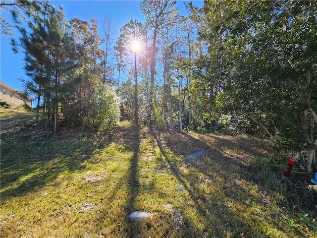 Listing photo 3 for LOT9 Crystal Ct N, Mobile AL 36695