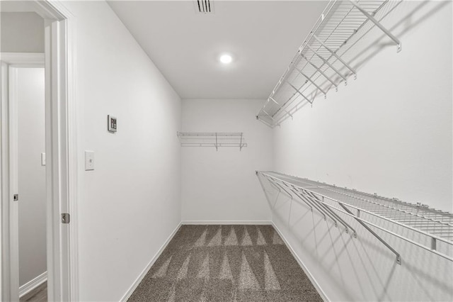 walk in closet featuring carpet flooring