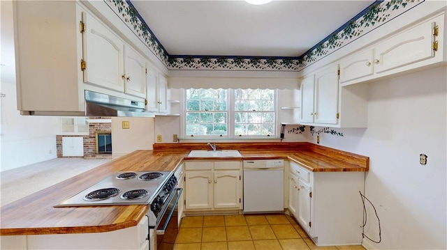 kitchen featuring electric range oven, dishwasher, butcher block countertops, under cabinet range hood, and a sink