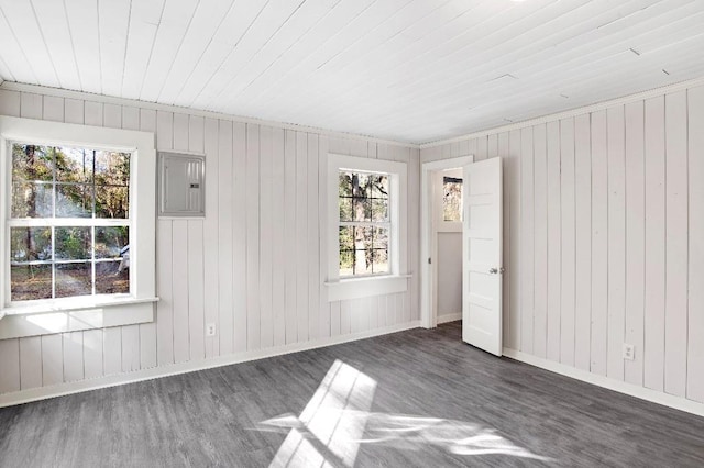 spare room featuring a healthy amount of sunlight, dark wood-type flooring, electric panel, and wood ceiling