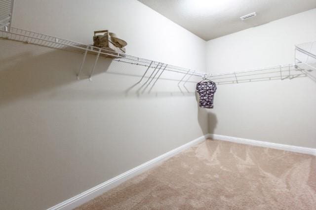 spacious closet featuring carpet