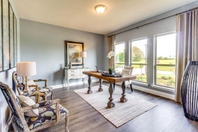 home office featuring hardwood / wood-style floors