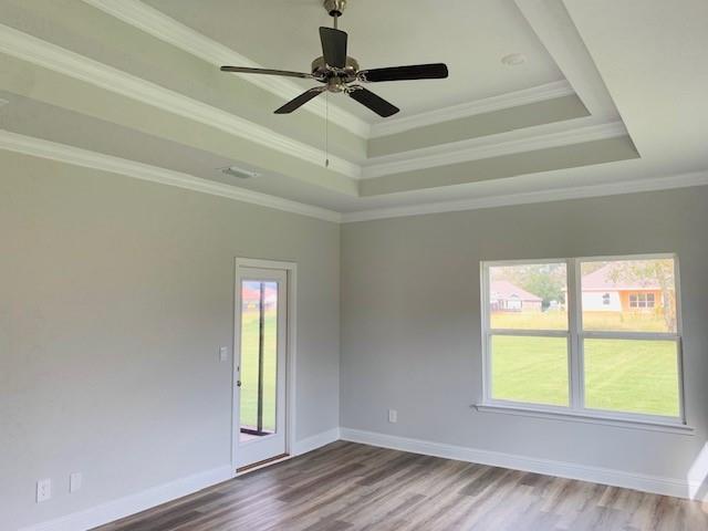 unfurnished room featuring a raised ceiling, ornamental molding, plenty of natural light, and hardwood / wood-style floors