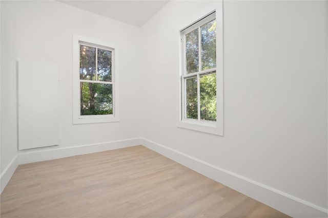 spare room featuring light hardwood / wood-style floors and a wealth of natural light