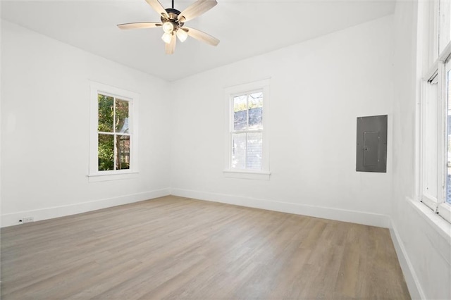 unfurnished room with ceiling fan, electric panel, and light hardwood / wood-style flooring