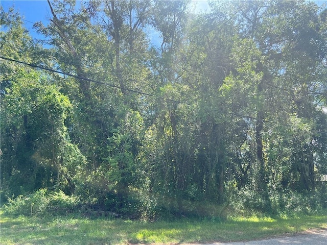 4301 Sawyer Ave, Mobile AL, 36619 land for sale