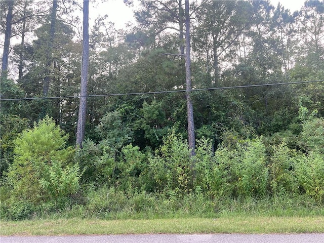 0 San Marino Dr, Theodore AL, 36582 land for sale