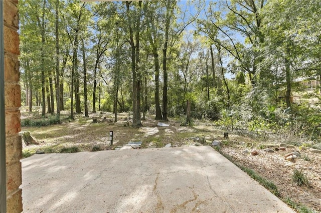 view of yard featuring a patio area