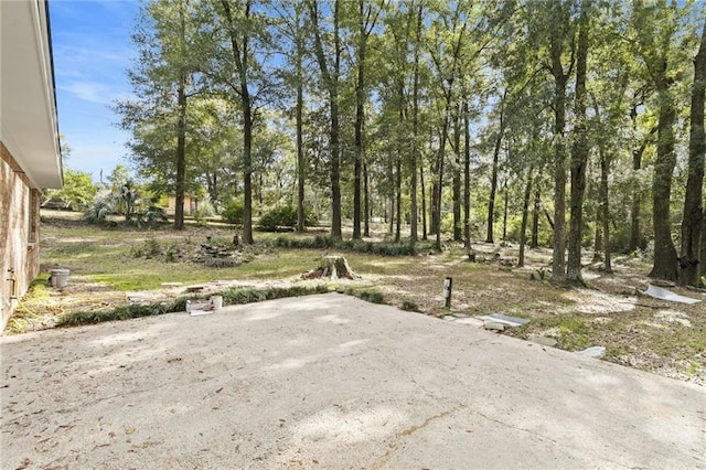 view of yard featuring a patio area