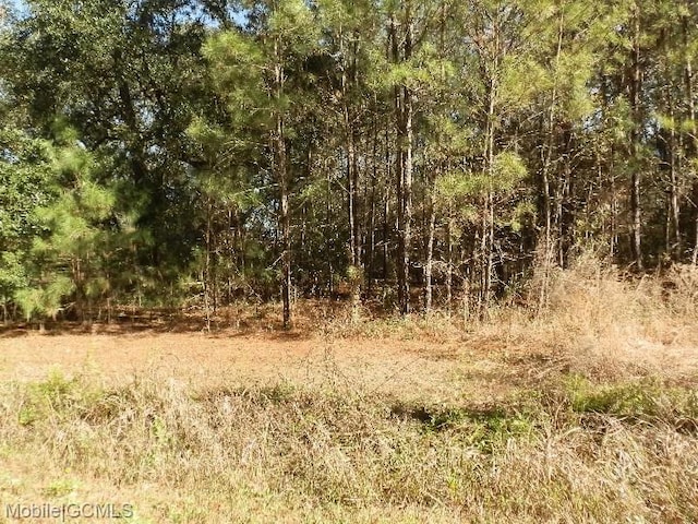 0 Carlyle Dr, Theodore AL, 36582 land for sale