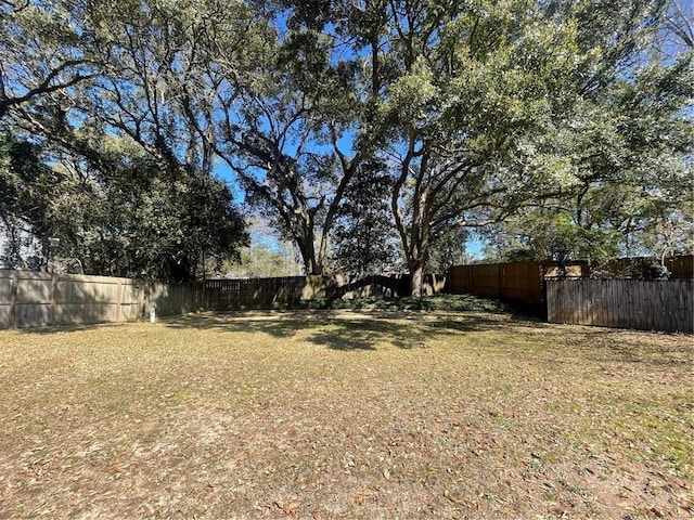 view of yard with a fenced backyard