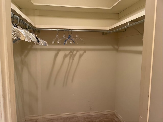 view of spacious closet