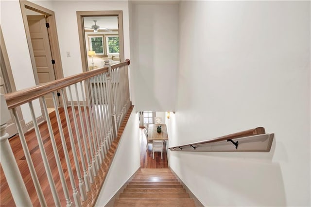 staircase featuring hardwood / wood-style floors