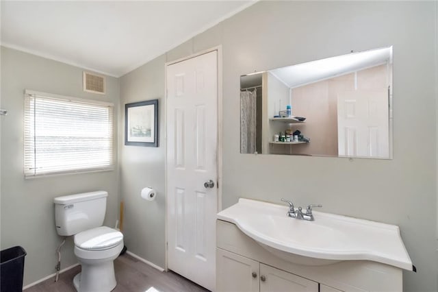 bathroom featuring vanity, lofted ceiling, hardwood / wood-style flooring, and toilet