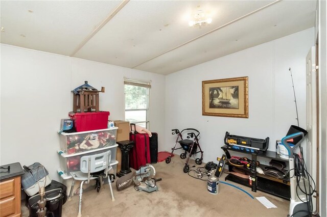 misc room with vaulted ceiling and carpet flooring