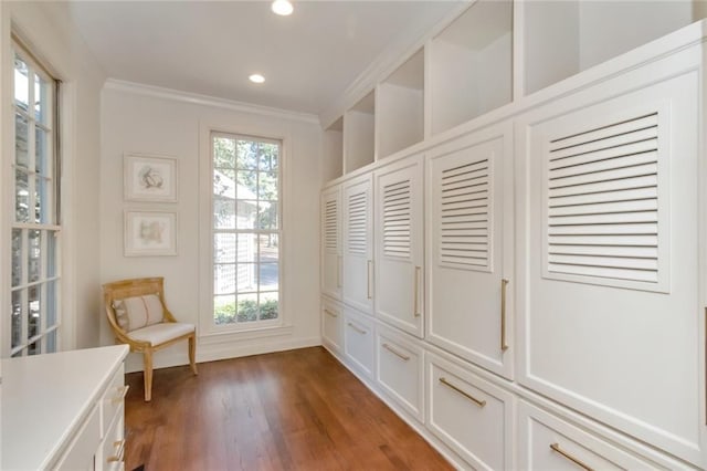 unfurnished room featuring dark wood-type flooring, crown molding, and a healthy amount of sunlight