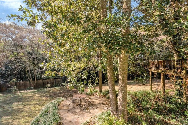 view of yard featuring a patio area