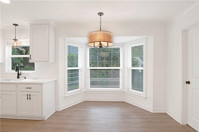 unfurnished dining area with light hardwood / wood-style floors, sink, and crown molding