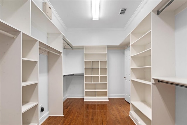 spacious closet featuring dark hardwood / wood-style floors