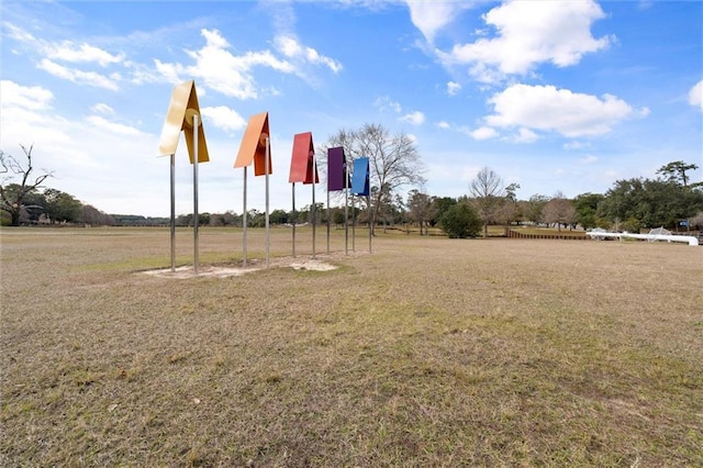 view of yard featuring a rural view