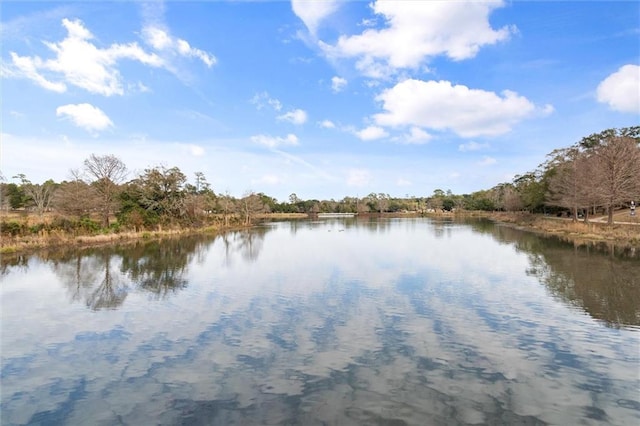 property view of water