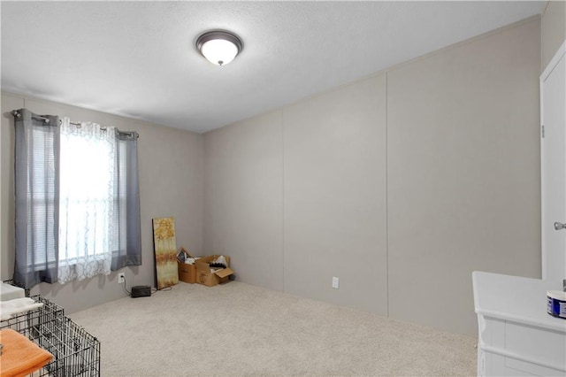 interior space featuring carpet flooring