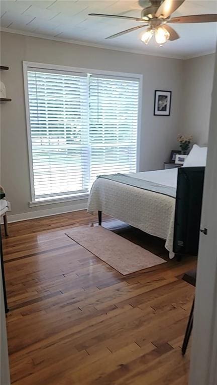 19565 4th St N, Citronelle, AL 36522 - bedroom featuring multiple windows, crown molding, wood finished floors, ceiling fan, and baseboards