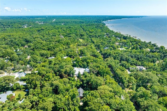 birds eye view of property with a water view and a forest view