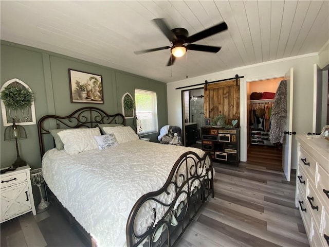 bedroom with a walk in closet, a ceiling fan, a barn door, a closet, and dark wood-style floors