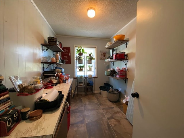 interior space with crown molding and a textured ceiling