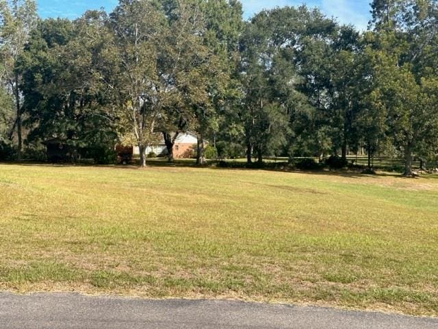 12553 Bell Creek Dr N, Grand Bay AL, 36541 land for sale