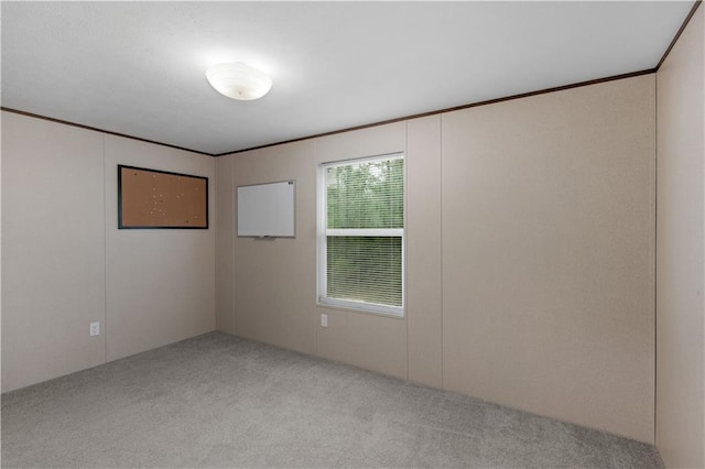 unfurnished room with crown molding and carpet