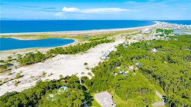 drone / aerial view with a water view and a view of the beach