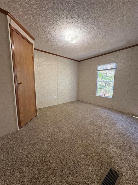 spare room featuring ornamental molding, carpet floors, and a textured ceiling