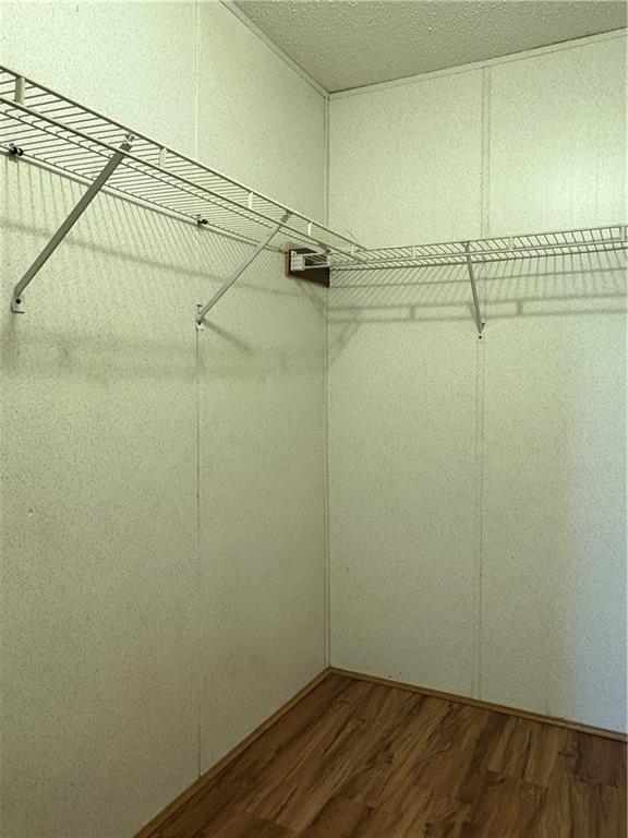 walk in closet featuring hardwood / wood-style flooring