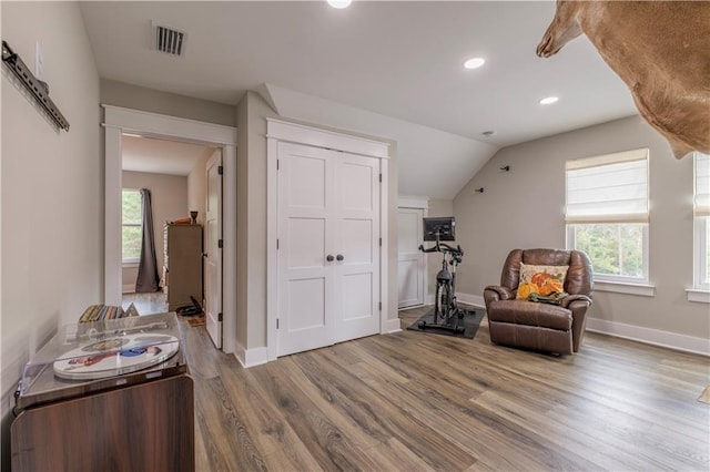 living area with vaulted ceiling, wood-type flooring, and plenty of natural light