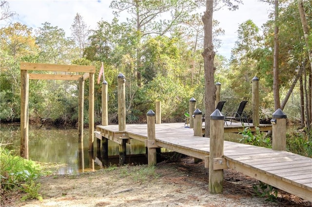 dock area featuring a water view