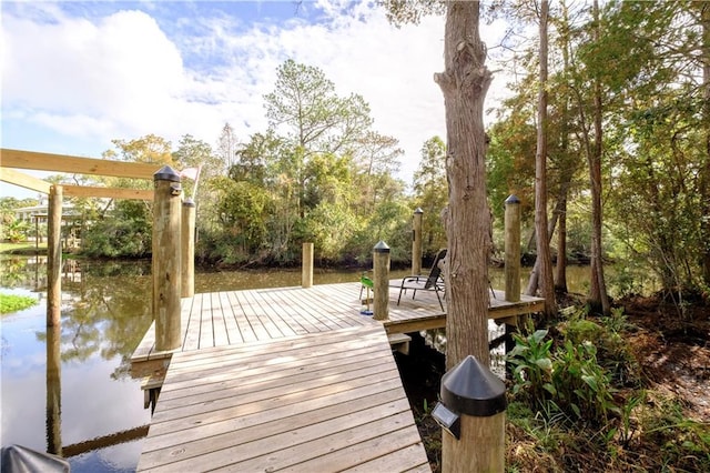 dock area featuring a water view