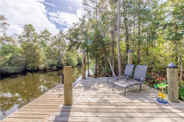 dock area with a water view